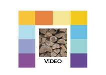 rolloverfeld video